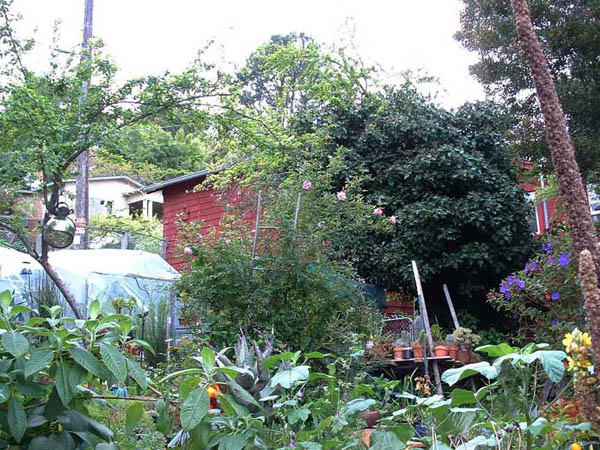garden23