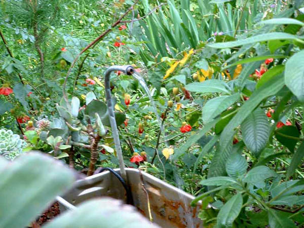 garden42